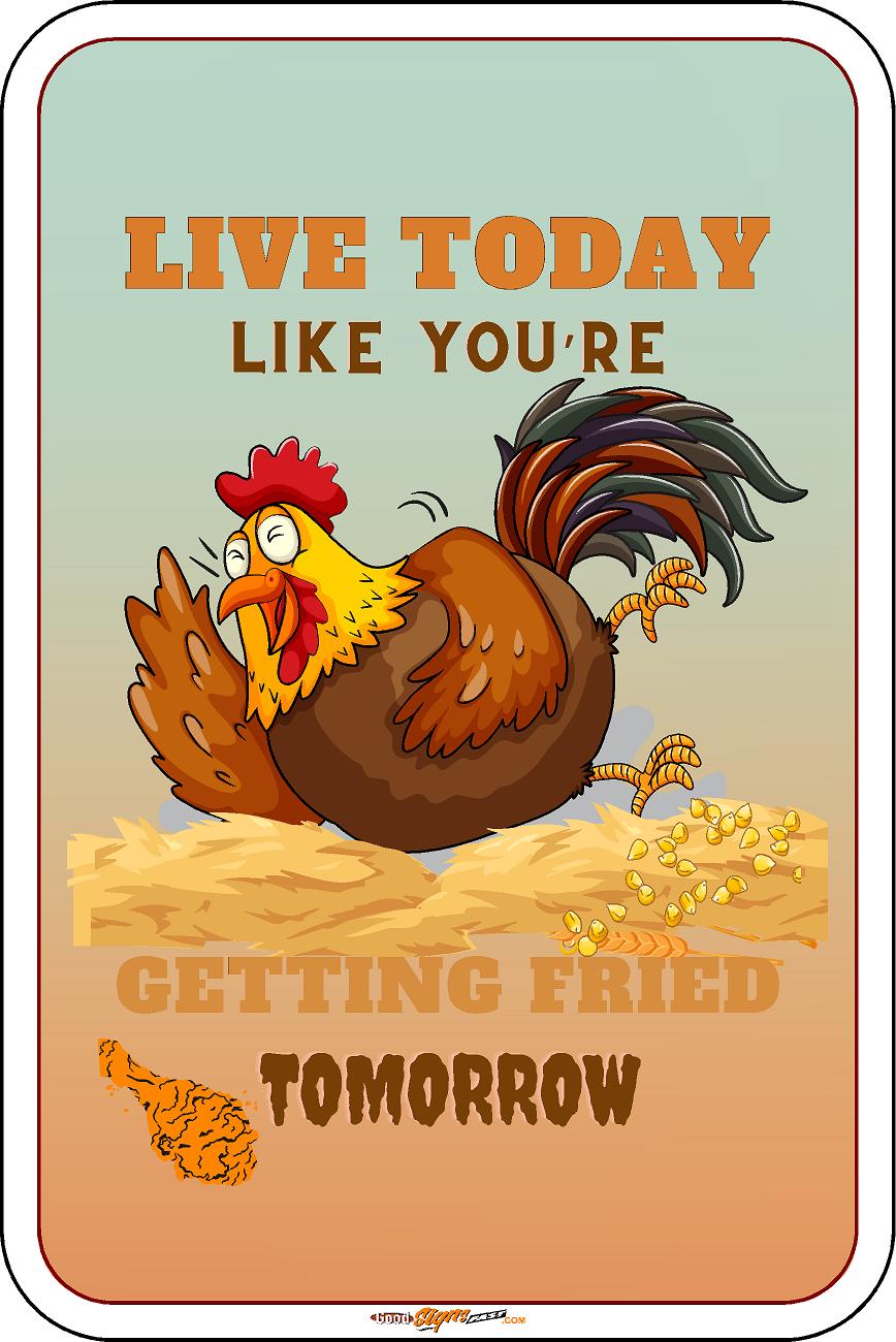 Live Today Fried Tomorrow